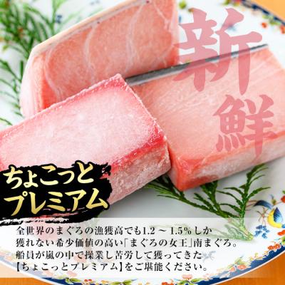 ふるさと納税 いちき串木野市 【ちょこっとプレミアム】天然南まぐろフルセット 計約300g |  | 01