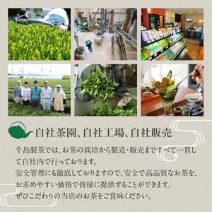 【ギフト対応可能】八女極上深蒸し茶セット 028-008