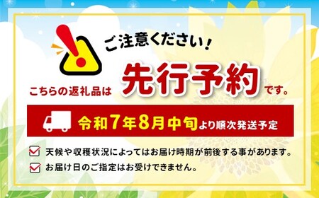 南信州産 梨 約10kg 幸水 豊水 いずれか1品種 おまかせ | 梨 なし ナシ 幸水 豊水 果物 くだもの フルーツ 長野県 信州 南信州 飯田