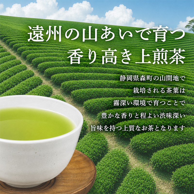 【3カ月ごと4回のお届け】 森の茶上煎茶 かおり 100g×5袋 茶 お茶 緑茶 煎茶 茶葉 森町 静岡県