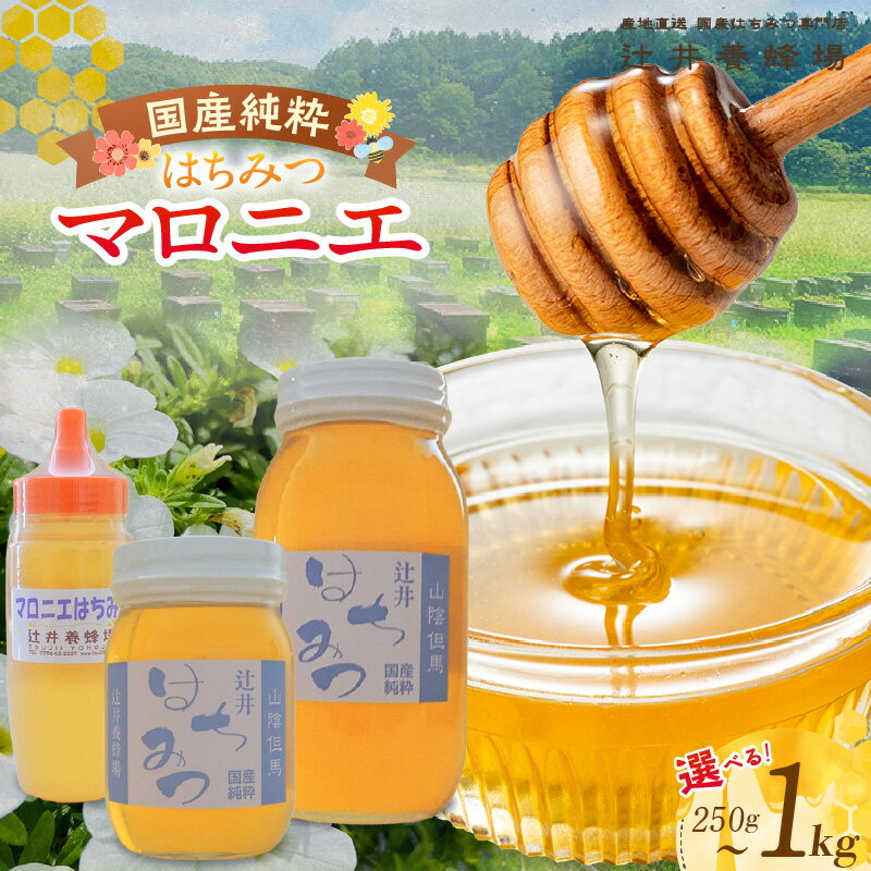 【ふるさと納税】国産純粋 マロニエはちみつ【選べる内容量 250g〜1kg】 国産 純粋 はちみつ ハチミツ 蜂蜜 マロニエ 栃の木 辻井養蜂場 国産純粋はちみつ 日本産 健康食品 みつばち 兵庫県 香美町 返礼品 81-01 81-04 81-07 送料無料