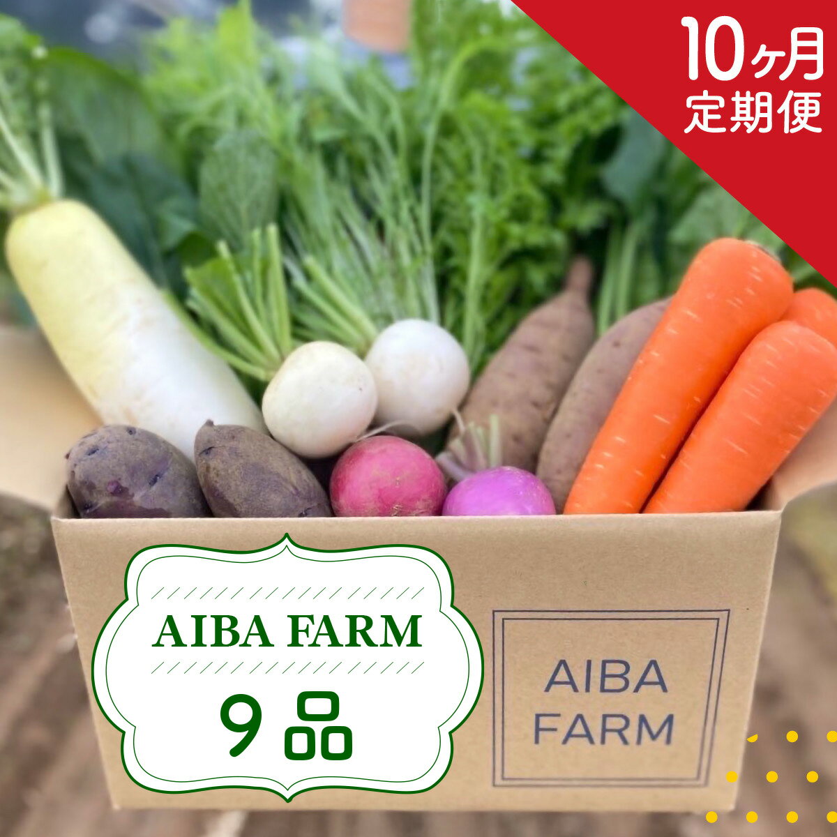 【ふるさと納税】 【10ヶ月 定期便】【栽培期間中農薬不使用】農家直送！季節の新鮮野菜「9品」詰め合わせセット AIBA FARM野菜セット 無農薬 野菜 千葉県 富里市 直送野菜 お野菜セット 旬野菜 季節野菜 農家直送 採れたて とれたて やさい TML004