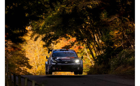 ラリージャパン【稲武設楽SS（稲武観戦エリア）観戦券／大人１名（夏焼グラウンドP&R）】5月29日（金）