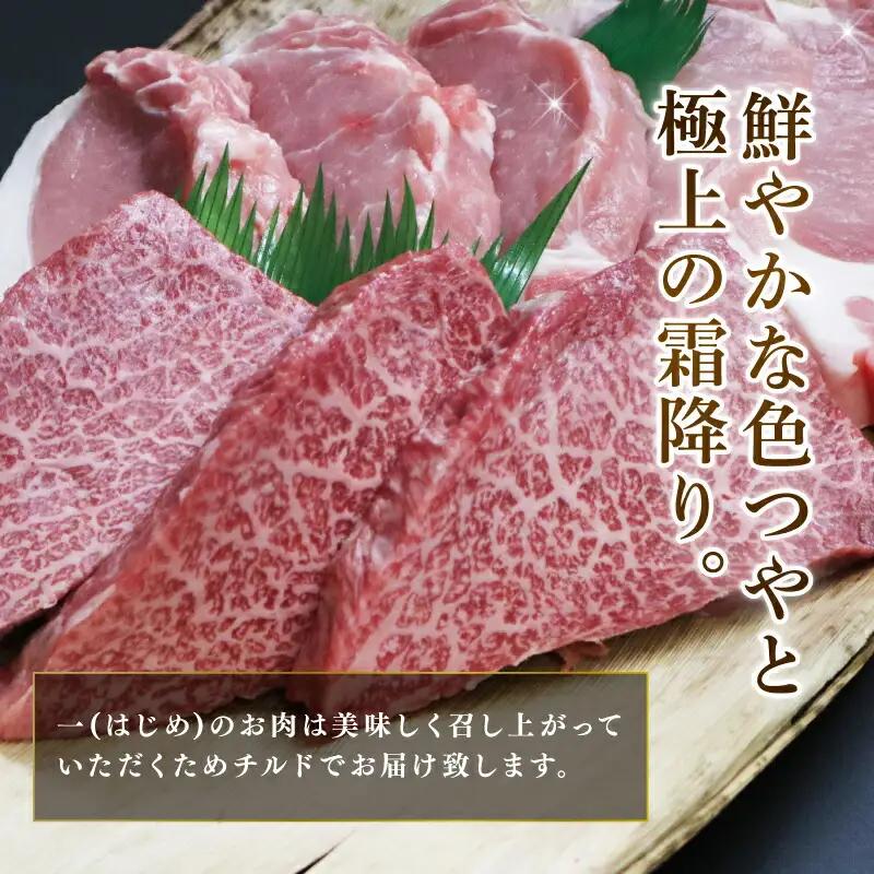 牛肉 豚肉 大和牛・ヤマトポークのステーキセット H-37