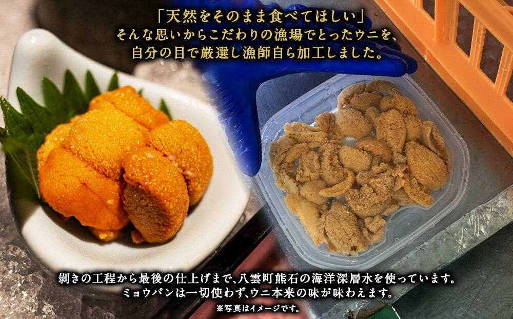 鮮度抜群！「門脇のウニ」北海道産 塩水生ウニ 2パック(1パック100g入り) 【 キタムラサキウニ ウニ ミョウバン不使用 うに 雲丹 魚介類 水産 食品 人気 おすすめ 送料無料 年内発送 年内配