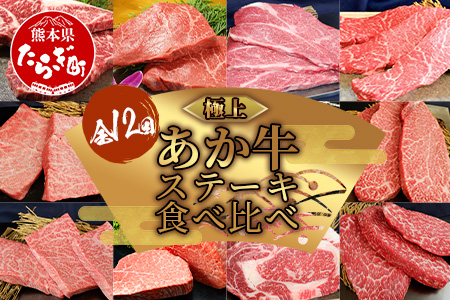 【定期便12回】あか牛ステーキ 12種 ＼＼極上／／ 食べ比べ ！ 熊本県産 自社牧場 和牛 タレ付 専門店 12ヶ月 1年 定期配送 046-0635