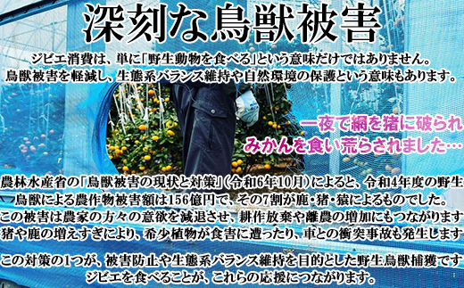 【日付指定可】山香ジビエの郷 猪肉鹿肉1.8kgセット＜047-003_7＞