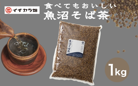 食べてもおいしい魚沼そば茶 1kg  イチカラ畑 |そば茶 魚沼