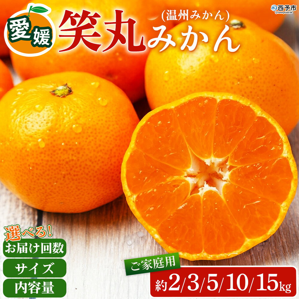 【ふるさと納税】先行予約＜笑丸みかん（温州みかん）約2kg／3kg／5kg／10kg／15kg・小玉サイズ/S〜L混合・定期便＞家庭用 訳あり 明浜産 選べる 果物 くだもの フルーツ ミカン 柑橘 特産品 笑丸 愛媛県 西予市【常温】『2026年11月中旬〜2027年1月上旬迄に順次出荷』