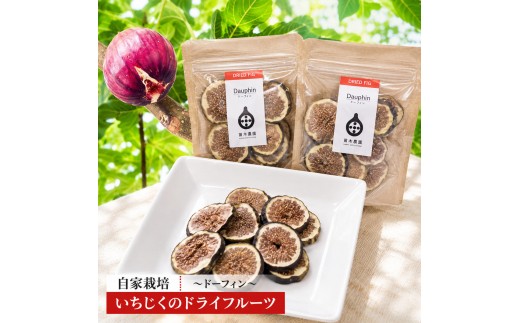 
                  自家栽培いちじくのドライフルーツ～ドーフィン～ 加工食品 乾燥いちじく 乾燥フルーツ いちじくの甘み 風味 おやつ 間食 
                