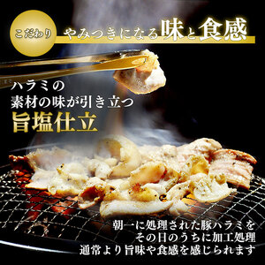 豚ハラミ 旨塩だれ 180g ハラミ 塩 利久