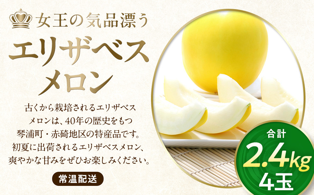 【先行予約】数量限定 鳥取県産 エリザベスメロン 4玉（2.4kg）