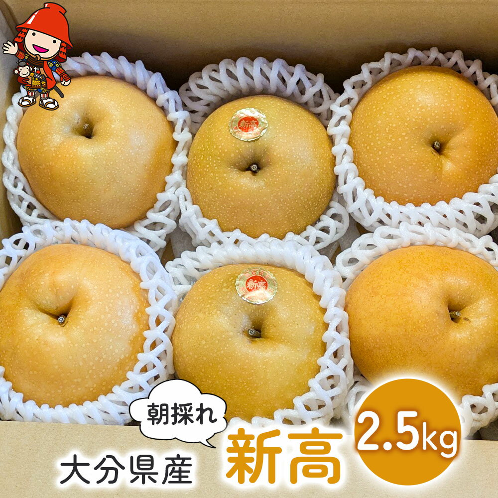 【ふるさと納税】大分県産 新高 約2.5kg (6個～7個) | いわき農園 梨 なし 新鮮 産地直送 数量限定 果物 くだもの フルーツ ギフト 大分県産 九州産 大分県 中津市 送料無料【発送は2025年9月中旬～2025年9月末までの予定】