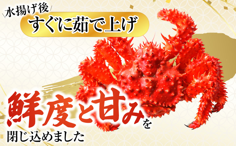 【北海道根室産】＜鮭匠ふじい＞ボイル花咲がに2尾(計約700g) G-42010