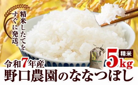 [1.4-361]【令和7年産】【先行予約】野口農園 ななつぼし 5kg お米 北海道産 産地直送 ブランド米 ななつぼし 野口農園《 10月末～（新米収穫出来次第、出荷》　　国産 精米 白米 米 