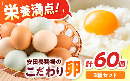 安田養鶏場の卵 3種セット しおさい アトムくん タフラン 60個入り（各20個入り） 横須賀市 産地直送 割れ保証付き たまご 黄身 濃厚 卵 玉子 タマゴ 鶏卵 【安田養鶏場】[AKHN007]