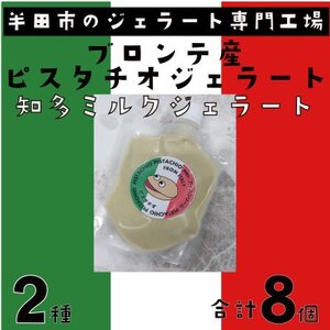 ブロンテ産ピスタチオ＆知多ミルクジェラート8個セット【配送不可地域：離島】【1460825】