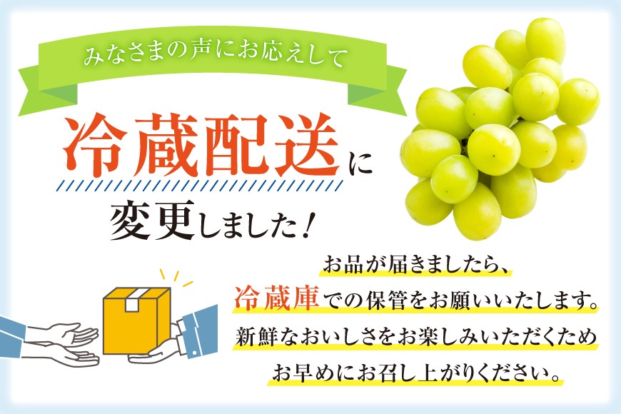 【2025年発送】ぶどう シャインマスカット 約1.2kg (2房)  【冷蔵発送】[梨北農業協同組合 山梨県 韮崎市 20742921] フルーツ 果物 くだもの ブドウ 葡萄 種なし 1.2キロ 甘い 期間限定 季節限定 山梨県産