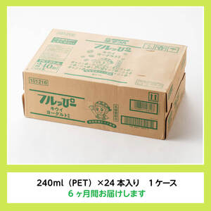 【6ヶ月定期便】サンA フルッぴーキウイヨーグルト(PET)240ml×24本 【 川南町 フルーツ ヨーグルト キウイ ドリンク 定期便 】