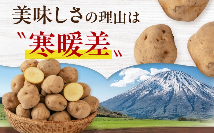 ジャガイモ じゃがいも 野菜 季節の野菜 詰め合わせ 北海道 産地直送 男爵芋