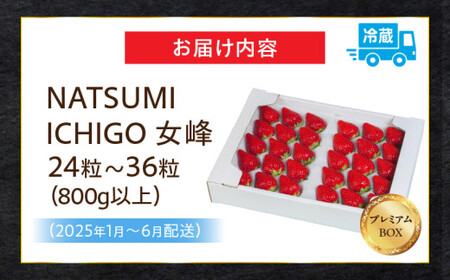 NATSUMI　ICHIGO　女峰800g以上　プレミアムBOX【2025年1～6月配送】_mk060-004