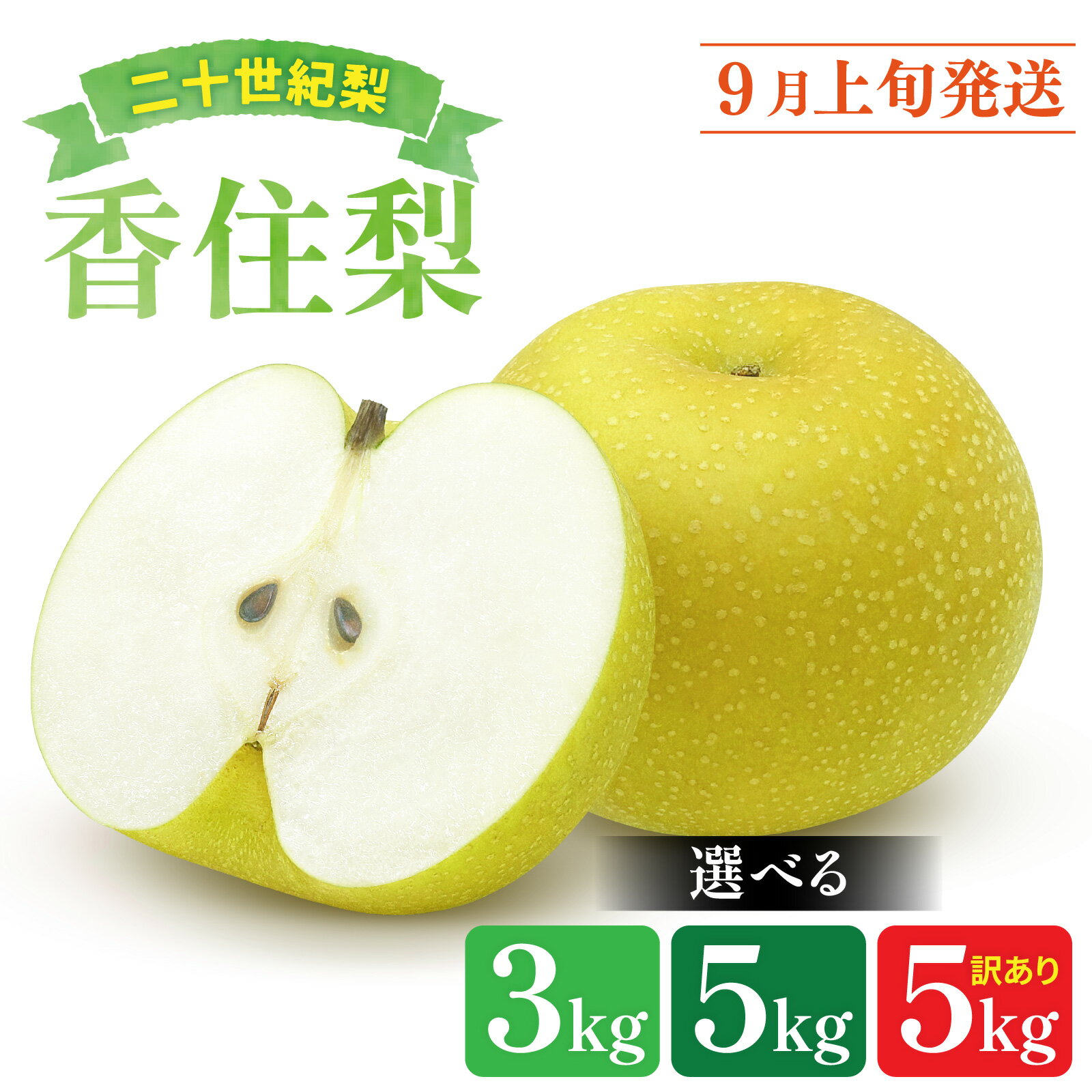 【ふるさと納税】【 先行予約／数量限定 】 兵庫県産 香住梨 二十世紀 【選べる】3kg / 5kg / 訳あり5kg【 梨 なし ナシ 二十世紀梨 フルーツ 果物 訳アリ 産地直送 みずみずしい 送料無料 期間限定 数量限定 香美町 】