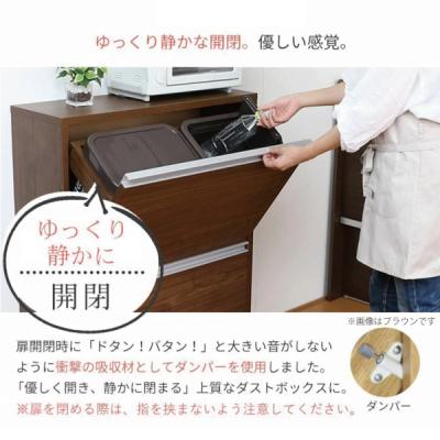 ふるさと納税 三条市 木製4分別ダストボックス ナチュラル ダストボックス 4分別 [川口工器] 【107S006】 |  | 01