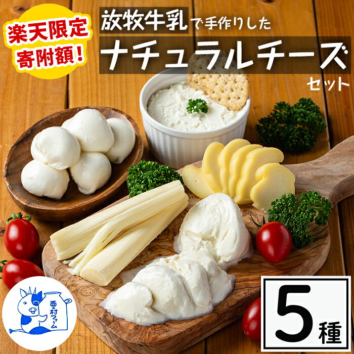 【ふるさと納税】【楽天限定寄附額！】放牧牛乳の手作りチーズセット(5種) 国産 鹿児島県産 湧水町産 乳製品 ちーず 生チーズ モッツァレラチーズ ボッコンチーニ クリームチーズ ストリングチーズ スカモルツァ 調味料 おつまみ【西ノ村ファーム】