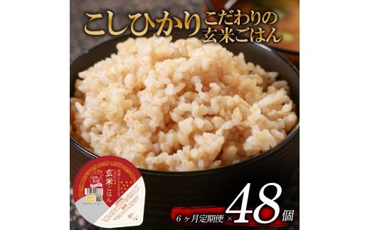 定期便 6回 こしひかり 玄米ごはんパック 120g 48個 玄米 米 お米 ごはん ご飯 こめ パックライス パックご飯 パックごはん ご飯パック ごはんパック パック ライス 備蓄 保存 非常 防