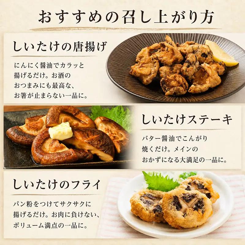 【訳あり】不揃い 生しいたけ 肉厚 約500g 秋山農場 しいたけ