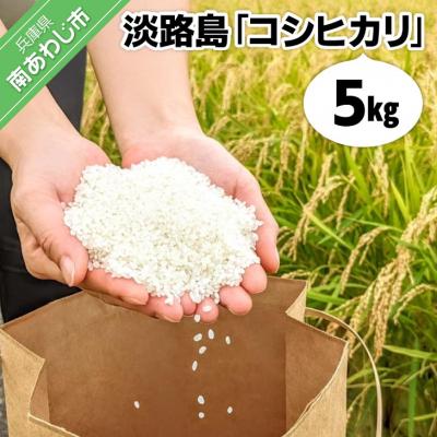 ふるさと納税 南あわじ市 淡路島「コシヒカリ」5キロ〈令和7年度産〉