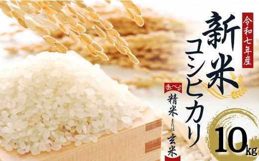 【令和７年産】　水野農園の加須市北川辺産　コシヒカリ　10㎏　《選べる！精米or玄米》｜お米　新米　米　令和７年　こしひかり