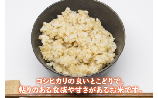 【令和6年産】 福井県産 あきさかり 玄米 30kg 若狭の恵 [BFAG015]