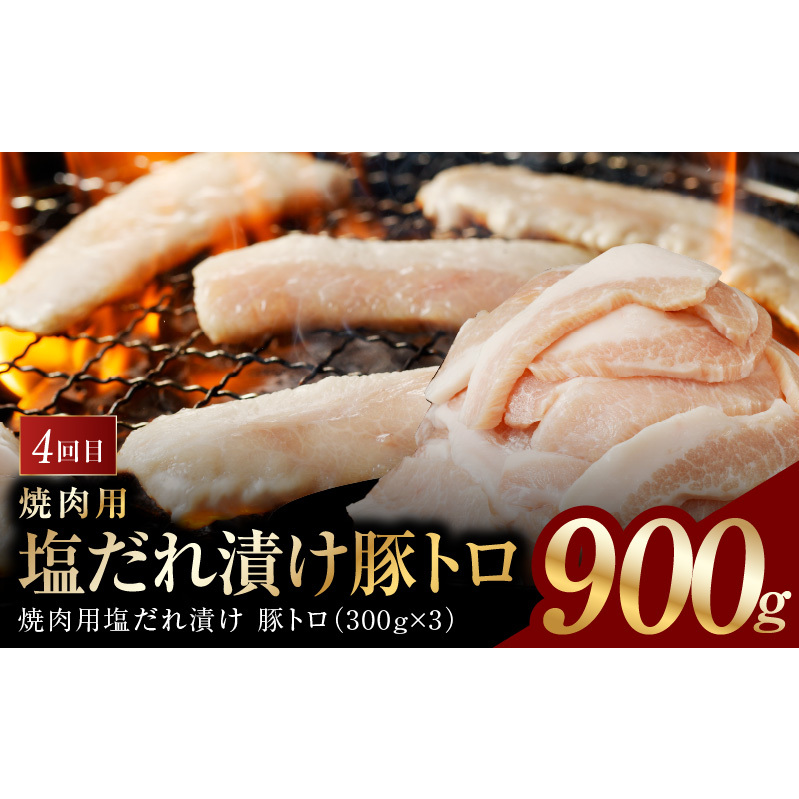 アキラ商店 肉三昧 総量 4kg以上 定期便 全4回【毎月配送コース お楽しみ 焼肉 ていきびん 焼くだけ 小分け BBQ やきにく 数量限定】 G1809_イメージ5