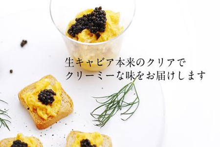 【定期便：年12回】【純国産宮崎キャビア】メルベイユキャビア120g(10g×12回)