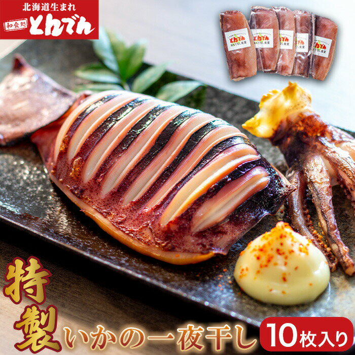 【ふるさと納税】特製いかの一夜干し(10枚入り） ふるさと納税 北海道 いか イカ 一夜干し 10枚 10枚入り おつまみ ごはんのお供 とんでん 恵庭市 恵庭 お取り寄せ 詰め合わせ グルメ 海鮮 魚介【44001502】