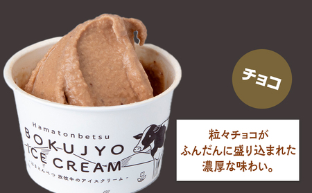 放牧牛 アイスクリーム2種（イチゴ・チョコ　各3個）計6個 【池田牧場】 アイス スイーツ デザート 冷凍 卵不使用 北海道ふるさと納税