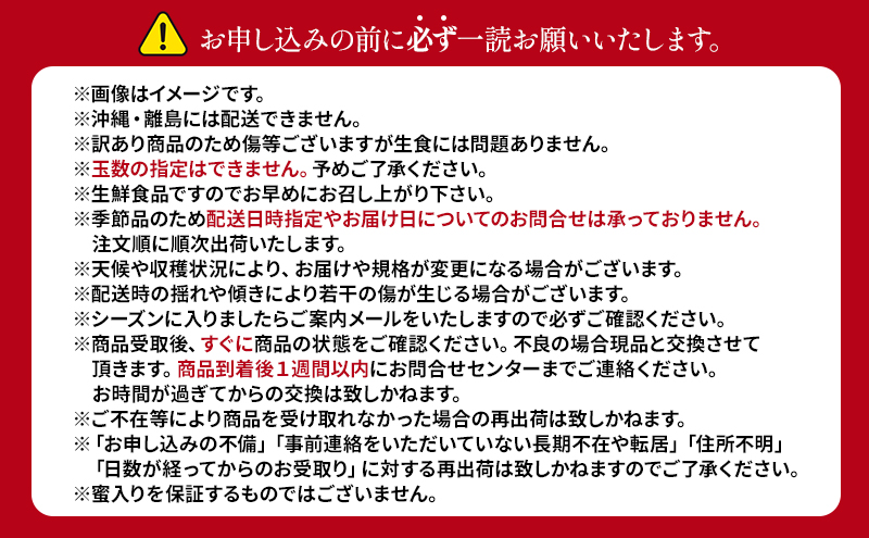 【10月から発送】 りんご 盛岡から「農で人をつなぐ」藤与果樹園：《 訳あり 》 シナノスイート 約3kg 6～11玉 玉数指定不可 詰め合わせ 岩手 盛岡