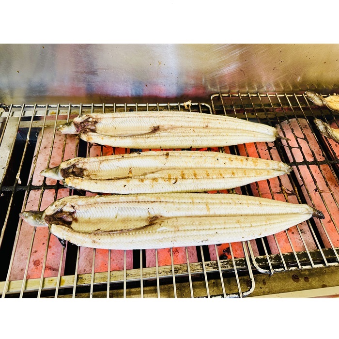 AD165.うなぎ白焼2尾（計400～500g）