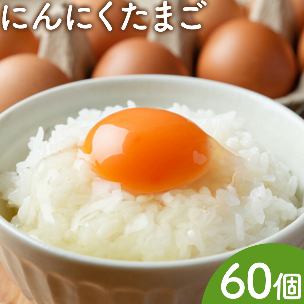 卵 にんにくたまご 内容量 60個 株式会社つづき《90日以内に出荷予定(土日祝除く)》熊本県 菊池市 卵 たまご にんにく卵 鶏卵 熊本県産 九州産 冷蔵 送料無料