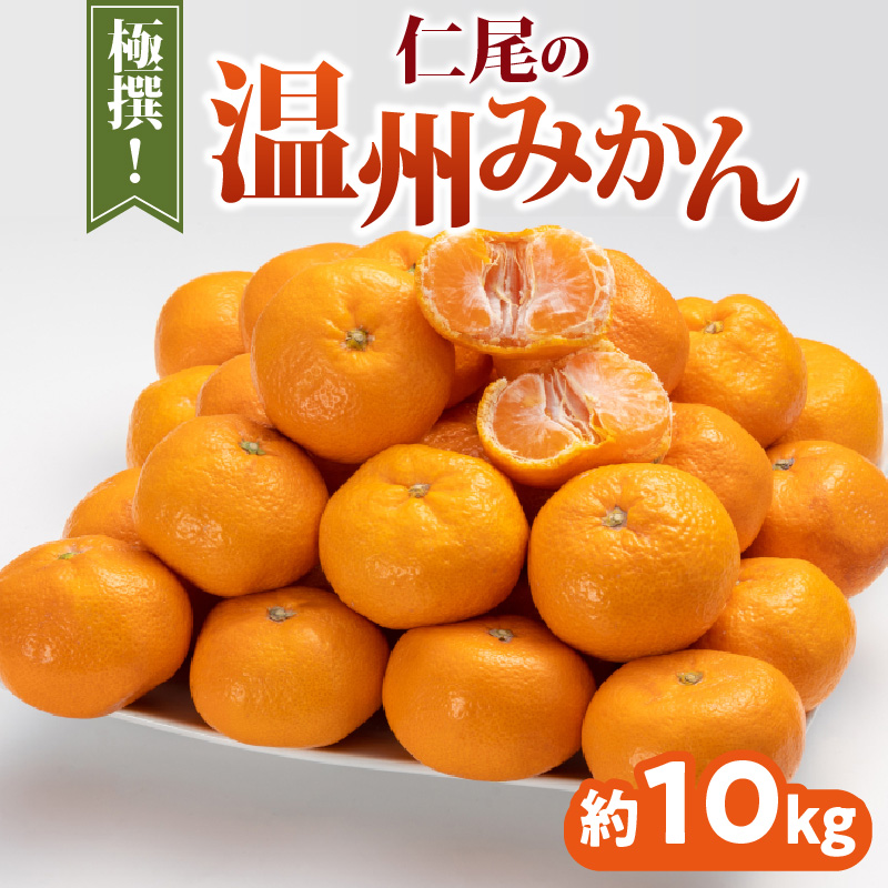 【ふるさと納税】 みかん 温州みかん 極撰 約 10kg [ フルーツ 果物 果実 柑橘 デザート スイーツ 甘い 果汁 常温 食品 国産 香川県 三豊市 お取り寄せ お取り寄せグルメ ギフト プレゼント 送料無料 旬 北浜商店 ]【配送不可地域：北海道・沖縄県・離島】