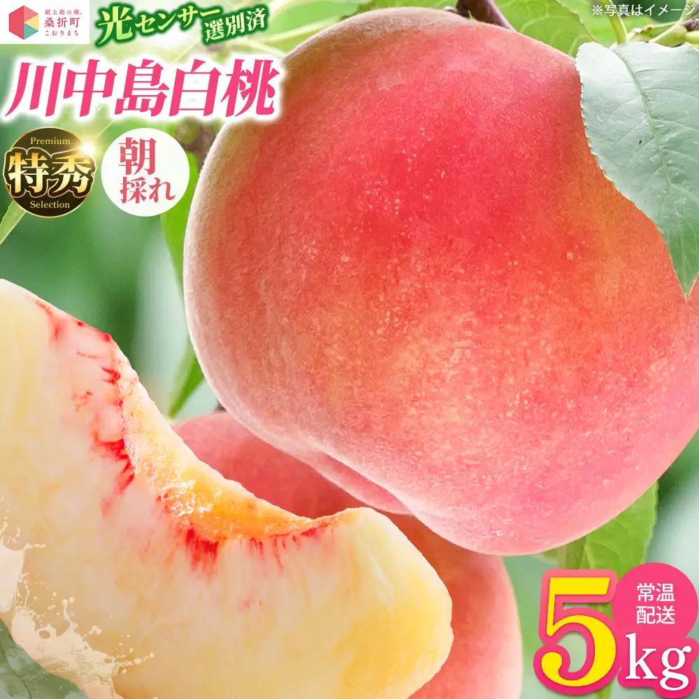 もも【川中島白桃・2027年産先行予約】特秀　5kg　桑折町産　JAふくしま未来　桃 ／ もも モモ 果物 フルーツ 旬 甘い 甘み ジューシー 果肉 果汁 新鮮 フレッシュ デザート おいしい 産地直送 桑折 こおり こおりまち 福島県 特産品 献上桃の郷 【07301-0100】