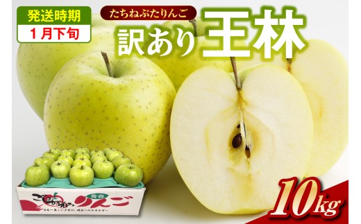 【2026年1月下旬】王林　約 10kg  訳ありりんご たちねぷたりんご 青森県 五所川原市 10キロ