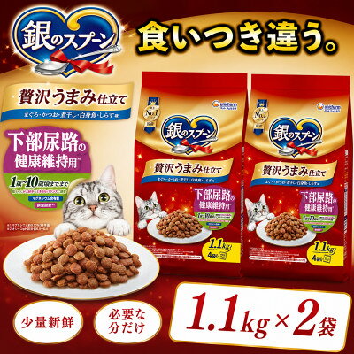【ふるさと納税】銀のスプーン 贅沢うまみ仕立て 下部尿路の健康維持用 1歳～10歳頃まで 1.1kg(2袋/6袋)【G1732804】