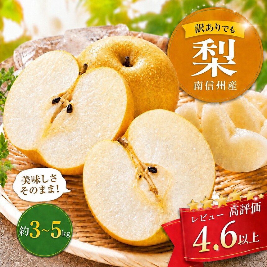 【ふるさと納税】南信州産 訳あり 梨 選べる容量 約3～5kg 【2026年2026年8月中旬～9月下旬発送】| 果物 くだもの フルーツ 和梨 梨 幸水 豊水 南水 あきづき 訳あり わけあり 長野県 信州 南信州 飯田市 BE01
