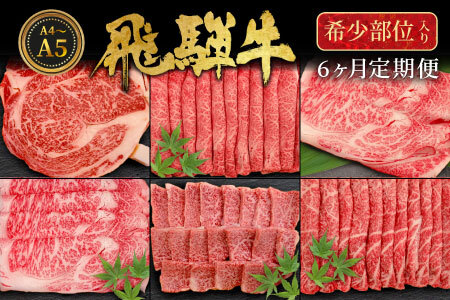 飛騨牛 希少部位 定期便 全6回 計1.86kg 2人前相当 すき焼き しゃぶしゃぶ ステーキ 焼肉 BBQ リブロース ランプ イチボ とも三角 ミスジ  ブランド牛 牛肉 肉 肉のひぐち