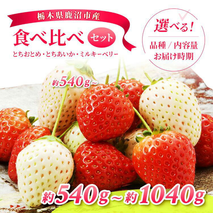 【ふるさと納税】【先行予約】【選べる品種・内容量・発送時期】食べ比べセット（とちおとめ・とちあいか・ミルキーベリー）| いちご 果物 フルーツ 苺 イチゴ くだもの 朝取り 新鮮 美味しい 甘い 先行受付