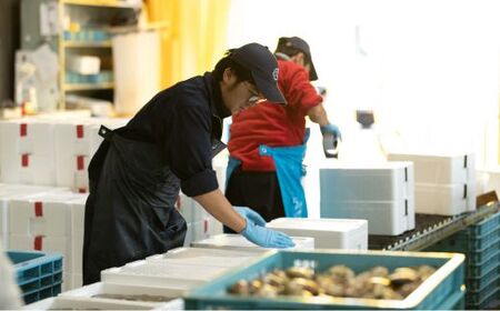 九十九里浜産　活地はまぐり約2kg