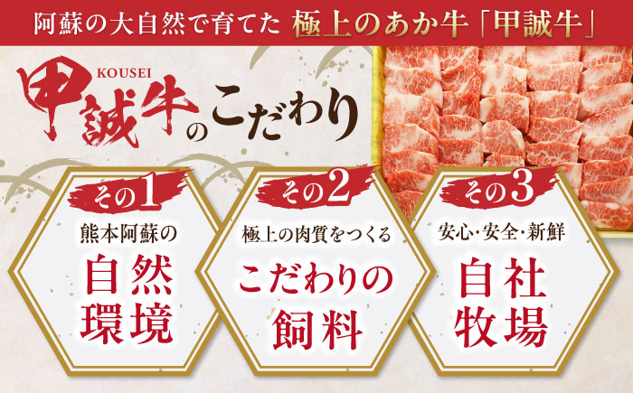 【全6回定期便】あか牛カルビ焼肉セット 800g 熊本 赤牛 褐牛 あかうし 褐毛和種 肥後 冷凍 国産 牛肉 【有限会社 三協畜産】 [YCG150]