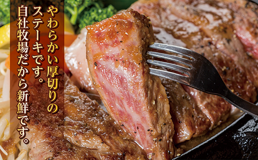 黒毛和牛 厚切り ステーキ 250g×2枚 合計 500g | 森山牧場 お肉 国産牛 牛肉 和牛 _d-81